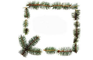 sprigs of blue spruce