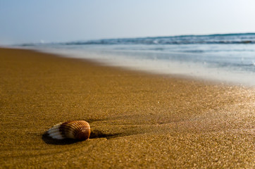 Sea beach