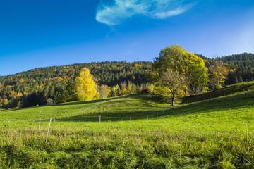 Montagne en automne