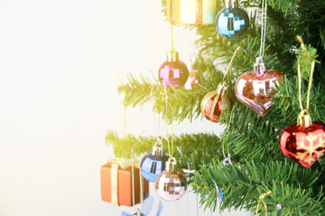 Christmas tree with Morning light Happy New Year Welcome
