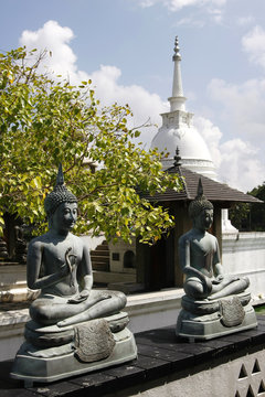 Buddhistische Tempel und Buddha in Sri Lanka