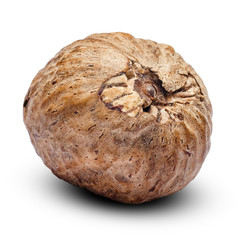 nutmeg isolated on white background. Clipping path