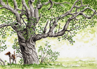 Рисунок акварелью "Собака у зеленого дерева"