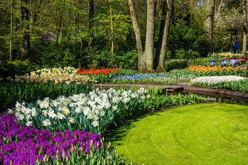 Spring Formal Garden. Beautiful garden of colorful flowers