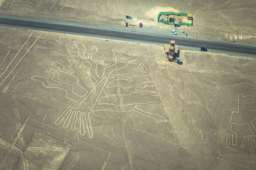 Nazca, Peru - August 14, 2017: Tree figure of the Nazca lines in Nazca, Peru