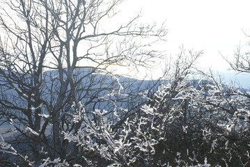 Mountain winter tale in Gelendzhik
