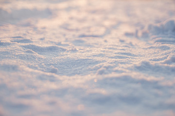 frost in the street. frozen trees. covered with hoarfrost. bright weather. all around the snow. winter day