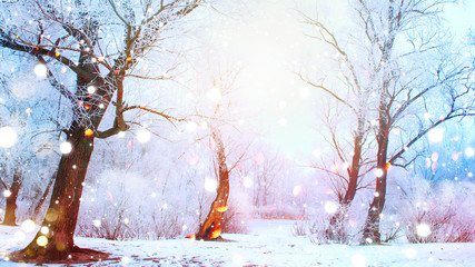 Beautiful sunny winter scene. Snow covered trees and frozen river