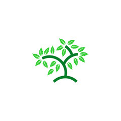 leaf vector logo