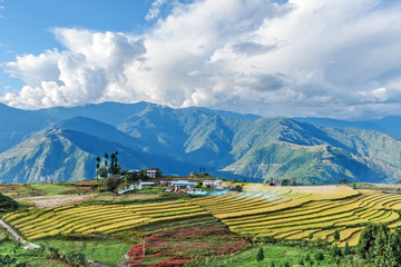 Farm in Bhutan eastern mountains near Trashigang - Eastern Bhutan - obrazy, fototapety, plakaty