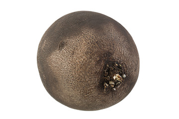 Black radish vegetable closeup