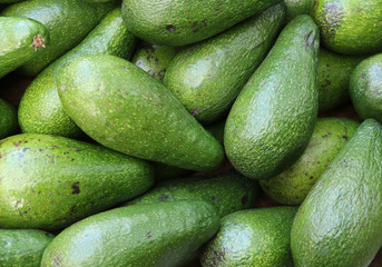 Fresh delicious avocado fruits