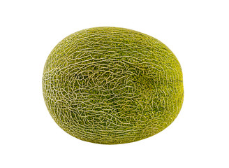 whole melon green ripe on white background, round fruit with natural pattern