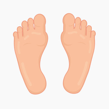 Foot soles. Vector illustration.