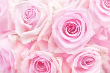 Poster de jardin Roses Fleur d& 39 été délicate rose sur fond festif de fleurs en fleurs, carte florale pastel et bouquet doux