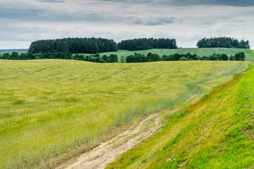 green fields and trees