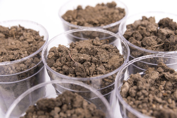 soil samples in the lab