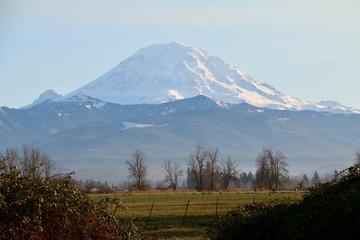 Fototapeta premium Mt. Rainier