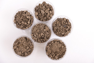 soil samples in the lab