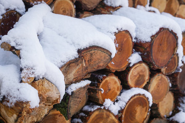 Pile of wood covered with snow