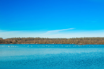 Beautiful landscape in coutryside, lake in Garešnica, Croatia 