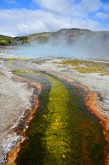 Yellowstone Nationalpark USA