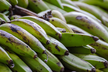 Closeup of freshly harvested green bananas in Nigeria, Africa © Fabian