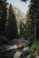 Grand Teton National Park