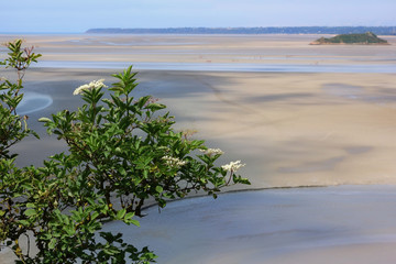 Beautiful landscape in summer travel.