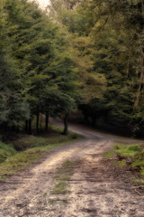 Obraz premium Otzarreta