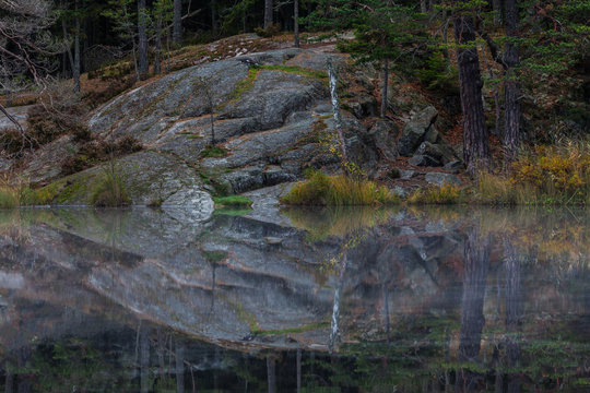Small calm forest lake in Tyresta National Park, Sweden