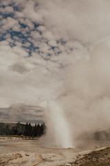 Yellowstone National Park