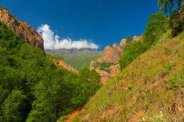 Green vegetation in mountains. Rocks and blue sky in Kozhokelen