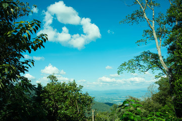 Beautiful landscape mountain view with green forest , blue sky and cloudy. The good travel for relax , the attractions in northern of Thailand.