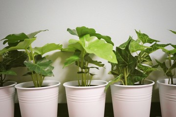 Artificial Alocasia and Golden Pothos Plant in Metal Pot