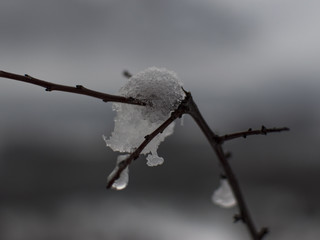 Neve su Ramo