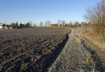 Farmland in the winter 