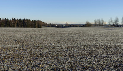 Farmland in the winter 