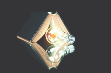 Light bulb with book on a black background.