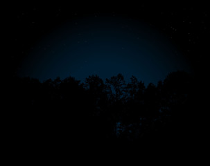 Naklejka premium Night forest under the stars