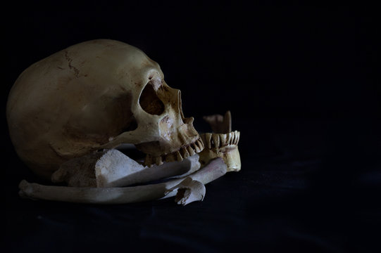 Skull with jaw and pile bones on black background / Still Life image and selective focus.