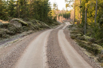 Fototapeta na wymiar Winding gravel road in a forest