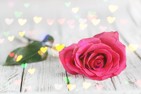 Beautiful one pink rose on white table with hearts bokeh. Love concept.