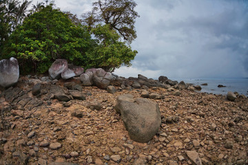 tropical beach under gloomy sky