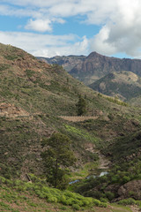 Naklejka premium Bach im Gebirge von Gran Canaria