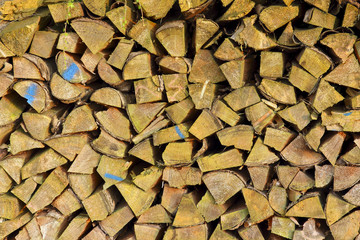 Stapel Holz zum Trocknen aufgeschichtet