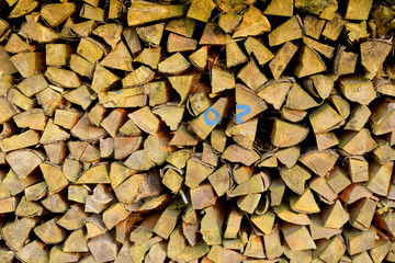 Stapel Holz zum Trocknen aufgeschichtet