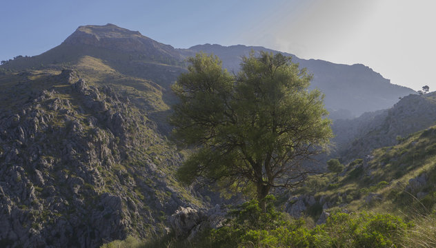 Above the Torrent de Parais in Mallorca