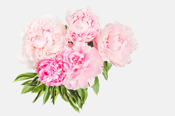 pink peonies on a light background