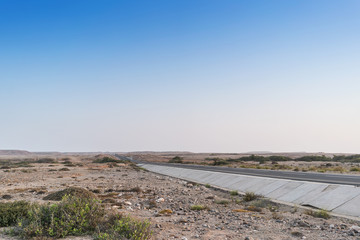 Bush along the desert road. Namibe. Angola.